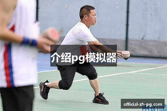 介绍pg模拟器
